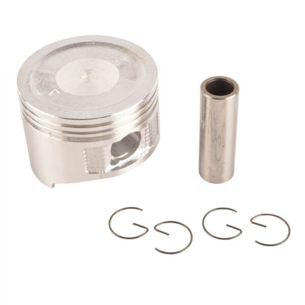 SCHULZ Rep. piston c/perno 016.0047-0 MSL10 ML